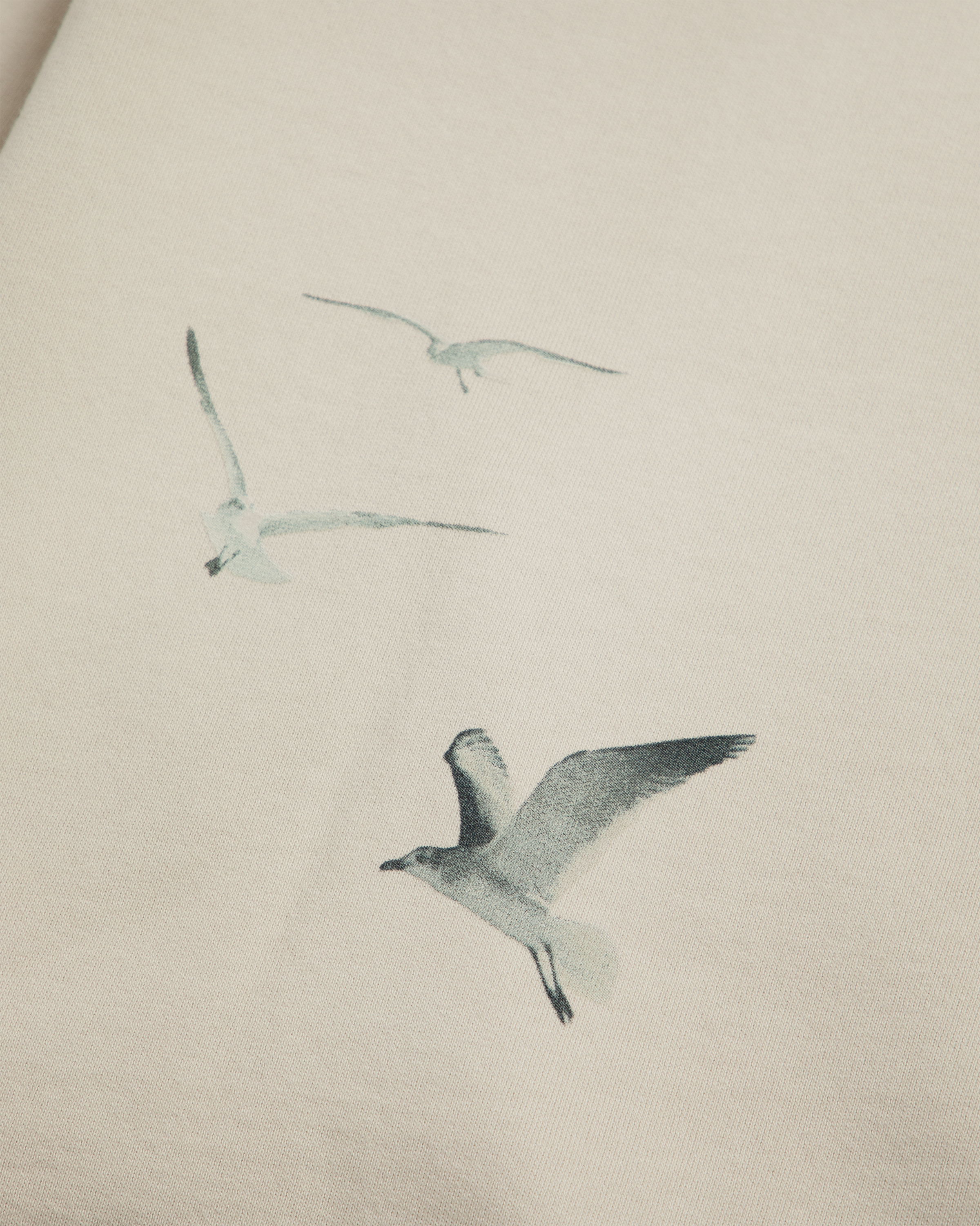 1989 (Taylor's Version) Beige Crewneck close up