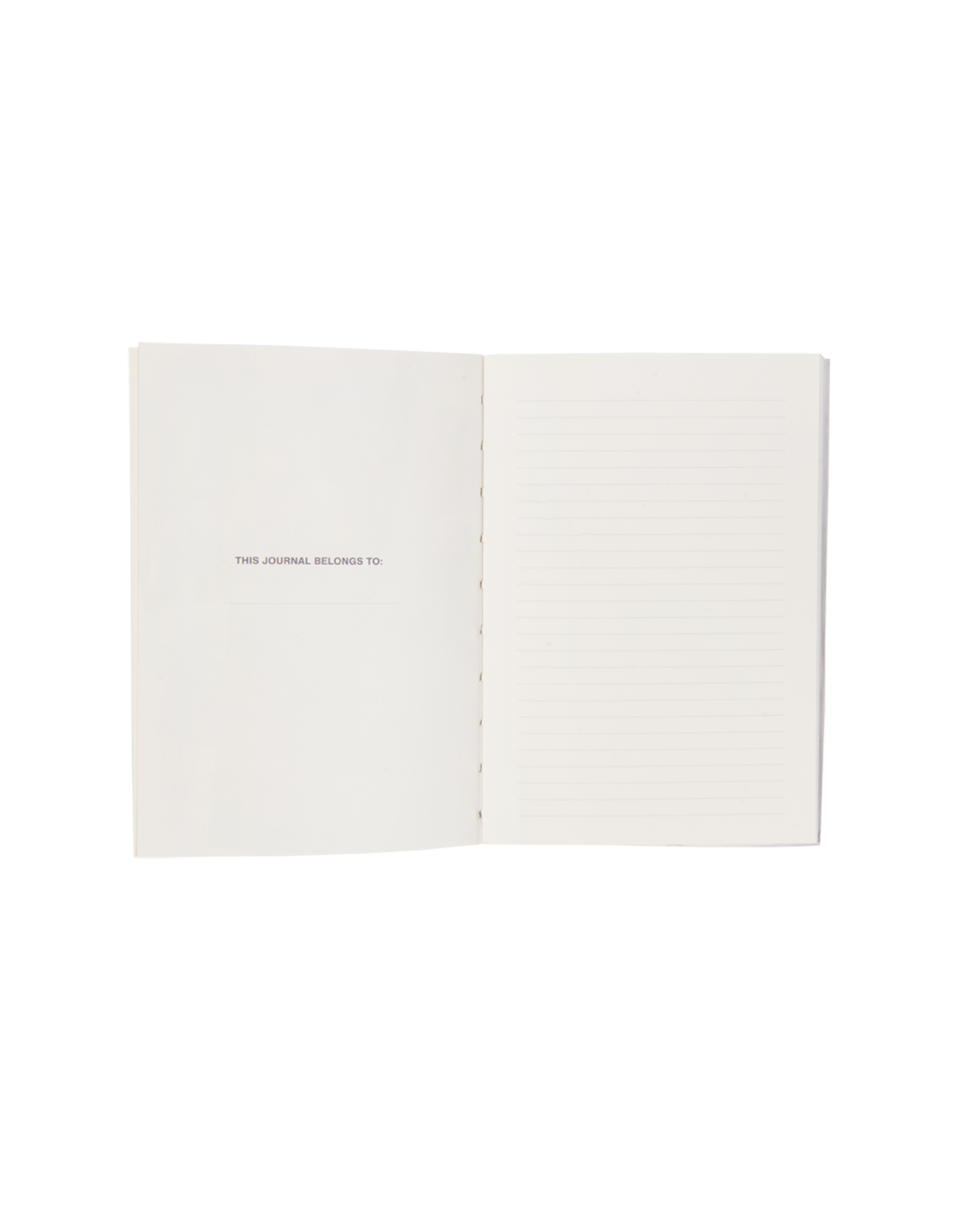 Lover CD Deluxe Version 2 journal